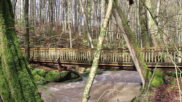 Der Holzsteg unweit der Reither M&uuml;hle soll erneuert werden.  Foto: Hilmar Ruppert