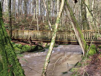Der Holzsteg unweit der Reither Mühle soll erneuert werden.  Foto: Hilmar Ruppert