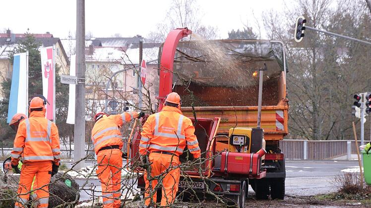 Mitarbeiter des Staatlichen Bauamtes fällen Bäume auf dem Bolzplatz an der Garitzer Kreuzung. Die Arbeiten sind Vorbereitungen für den Garitzer Kreisel. Foto: Benedikt Borst