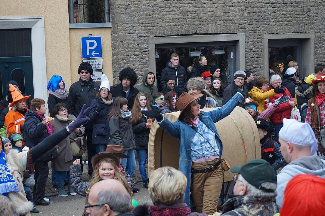 Landkreisfaschingszug 2015