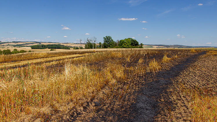 Am Sonntag brannte ein Feld im Kreis Coburg.