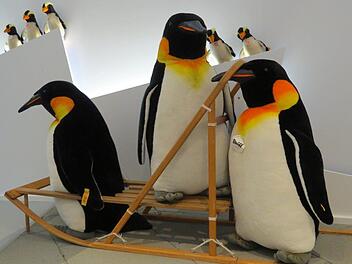 Ein Pl&uuml;schpinguin hat in Coburg f&uuml;r einen skurrilen Polizei-Einsatz gef&uuml;hrt. Symbolbild: pixabay.com