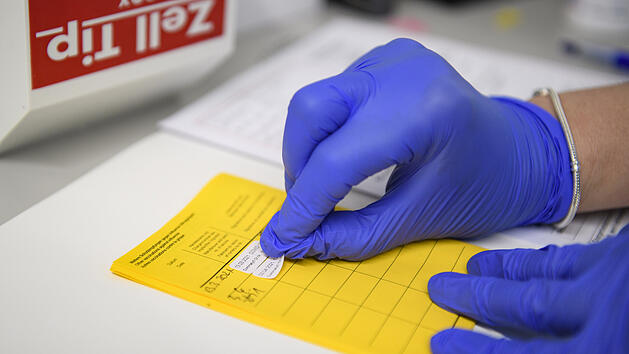 Die Impfungen werden im Impfpass vermerkt