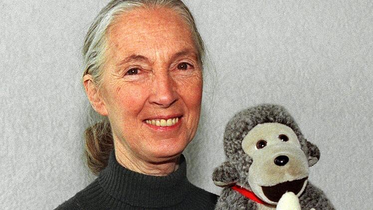Primaten-Forscherin Jane Goodall ist tot