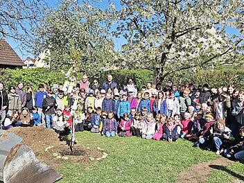 Baumpflanzaktion an der Grund- und Mittelschule Oerlenbach.