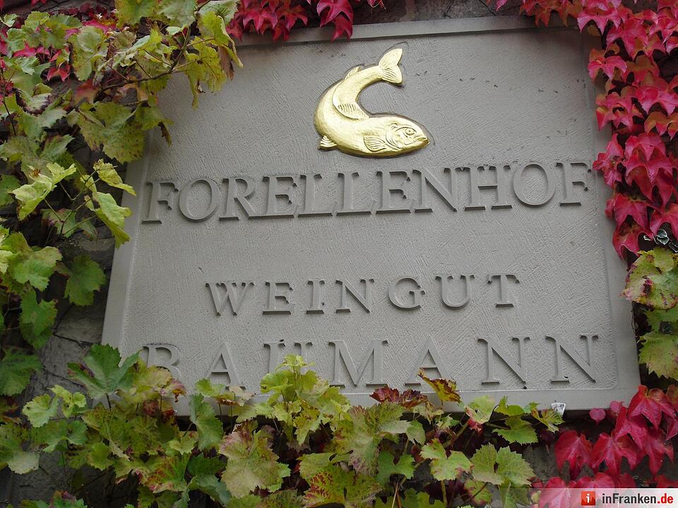 ABO Plus Bus-Wander-Tour Handthal_29.10.2016