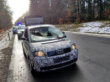 Der Audi ist nur noch Schrott: Ein Hirsch sprang ins Auto und zertrümmerte die Windschutzscheibe. Fotos: Privat