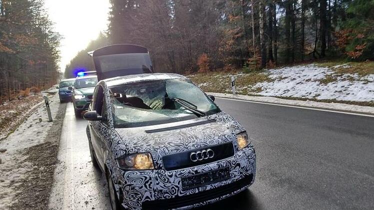 Der Audi ist nur noch Schrott: Ein Hirsch sprang ins Auto und zertrümmerte die Windschutzscheibe. Fotos: Privat