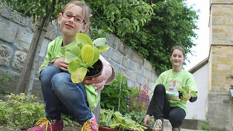 Stolz präsentiert Sina eines ihrer Lieblings-T-Shirts. Es weist sie als Kobold mit grünem Daumen aus. Zwischen Schlossmauer und Kirche haben die Kinder ein Beet, um welches sie sich mitkümmern. Foto: Markus Häggberg