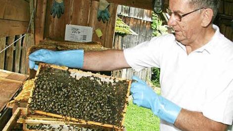 Vorsitzender Hermann Lochner ist seit 40 Jahren Mitglied im Imkerverein. Dafür erhielt er die Ehrennadel in Gold samt Urkunde. Lochner betreut auch den Lehrbienenstand in Katschenreuth. Foto: Archiv/Sonny Adam