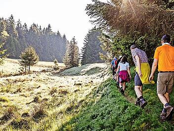 Der Wandermarathon f&uuml;hrt wieder durch wundersch&ouml;ne Landschaften.