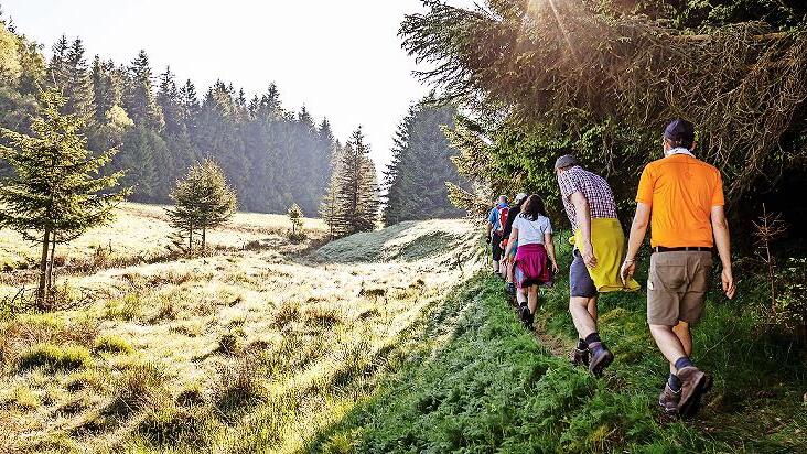 Der Wandermarathon f&uuml;hrt wieder durch wundersch&ouml;ne Landschaften.