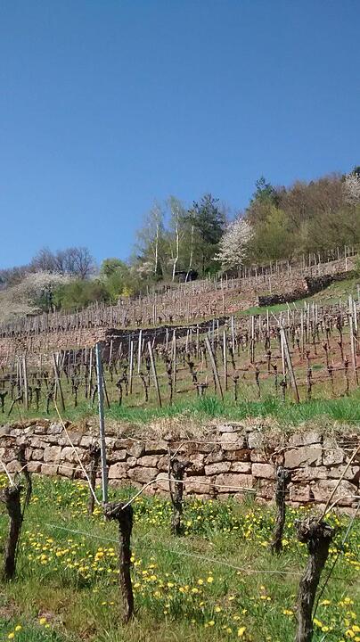 Die schönsten Bilder aus dem Sommer in Franken