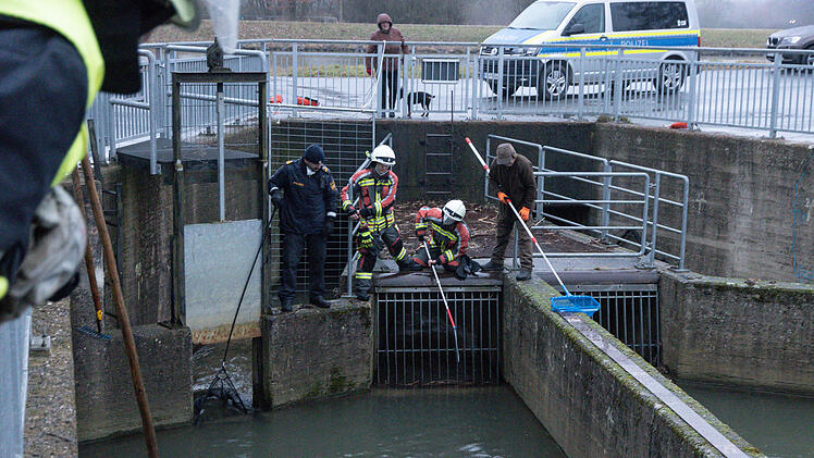 Biber in Auffangbecken gefangen: Einsatzkr&auml;fte versuchen Tier zu retten