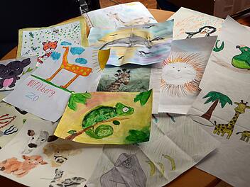 N&uuml;rnberg: Tiergarten l&auml;dt Sch&uuml;ler zu freiem Eintritt ein - unter einer Voraussetzung