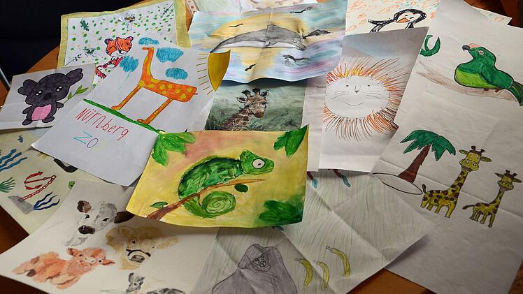 N&uuml;rnberg: Tiergarten l&auml;dt Sch&uuml;ler zu freiem Eintritt ein - unter einer Voraussetzung