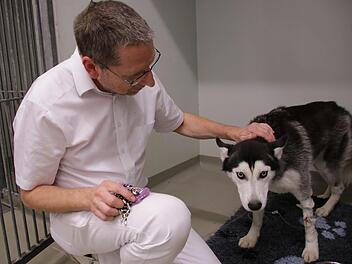 Tierarzt Heiko Grappendorf besucht einen Patienten seiner Kleintierklinik auf Station. Ab Februar muss er den Klinik-Status bis auf Weiteres aussetzen. Foto: Benedikt Borst