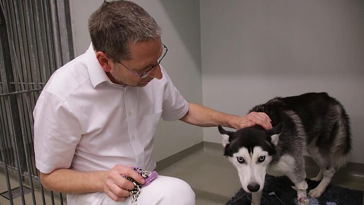 Tierarzt Heiko Grappendorf besucht einen Patienten seiner Kleintierklinik auf Station. Ab Februar muss er den Klinik-Status bis auf Weiteres aussetzen. Foto: Benedikt Borst