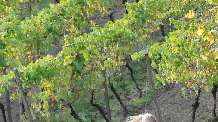 Impressionen vom Weinberglauf des SV Ramsthal.ssp