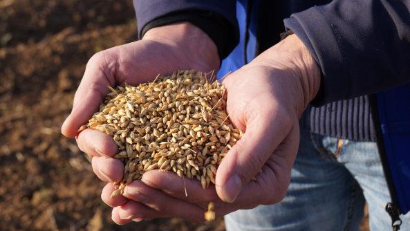 Eine Hand voll "Solist"Foto: Joseph Beck