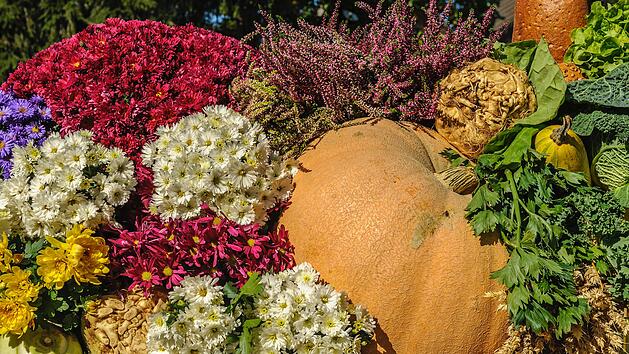 Herbstliche Bepflanzung