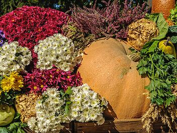 Herbstliche Bepflanzung