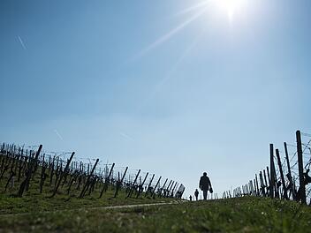 Spaziergang in der Sonne