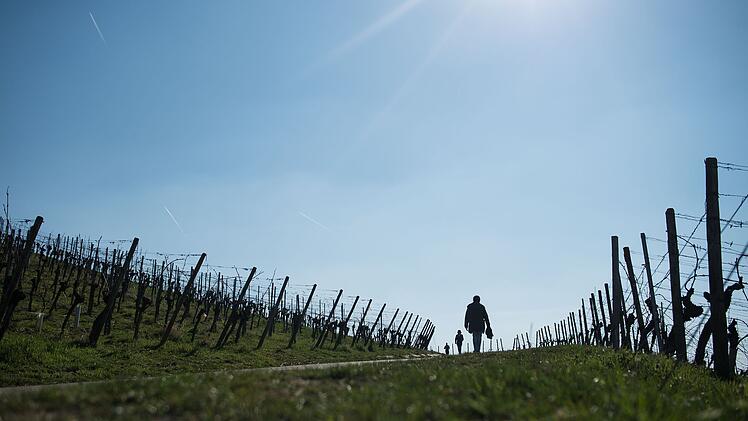 Spaziergang in der Sonne