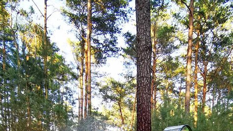 Erlangen: Waldbrand im Tennenloher Forst hält Feuerwehr bis nachts in Atem - Explosionsgefahr