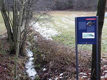 Die Weiherwiese in Kunreuth soll ökologisch aufgewertet werden. Foto: Galster