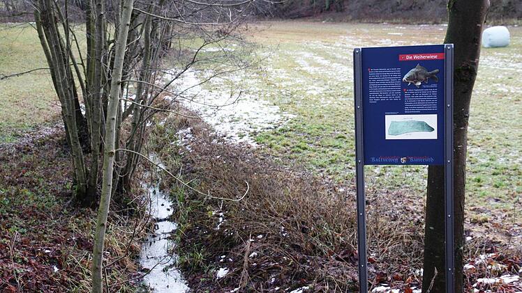Die Weiherwiese in Kunreuth soll ökologisch aufgewertet werden. Foto: Galster