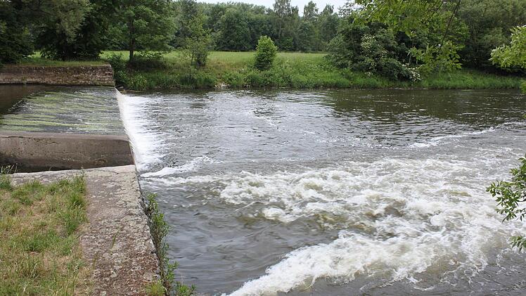 Das Wehr im Main in Michelau - Foto: Ramona Popp
