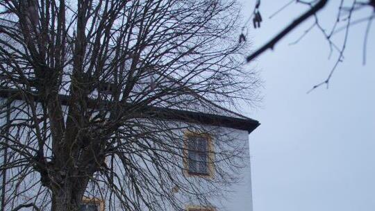 Weihnachtsmarkt im Schloss Freienfels Foto: Joseph Beck