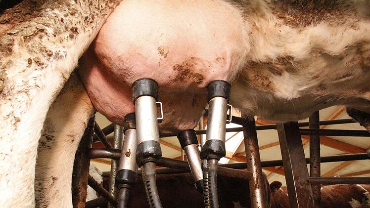 Der Computer pumpt die Milch in den Tank und prüft die Qualität. Foto: Josef Hofbauer