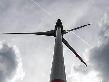 Foto: Armin Weigel dpa