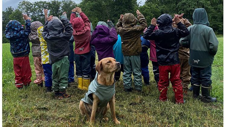 W&uuml;rzburg: Besonderes Konzept - Johanniter setzen Hunde in Kitas ein