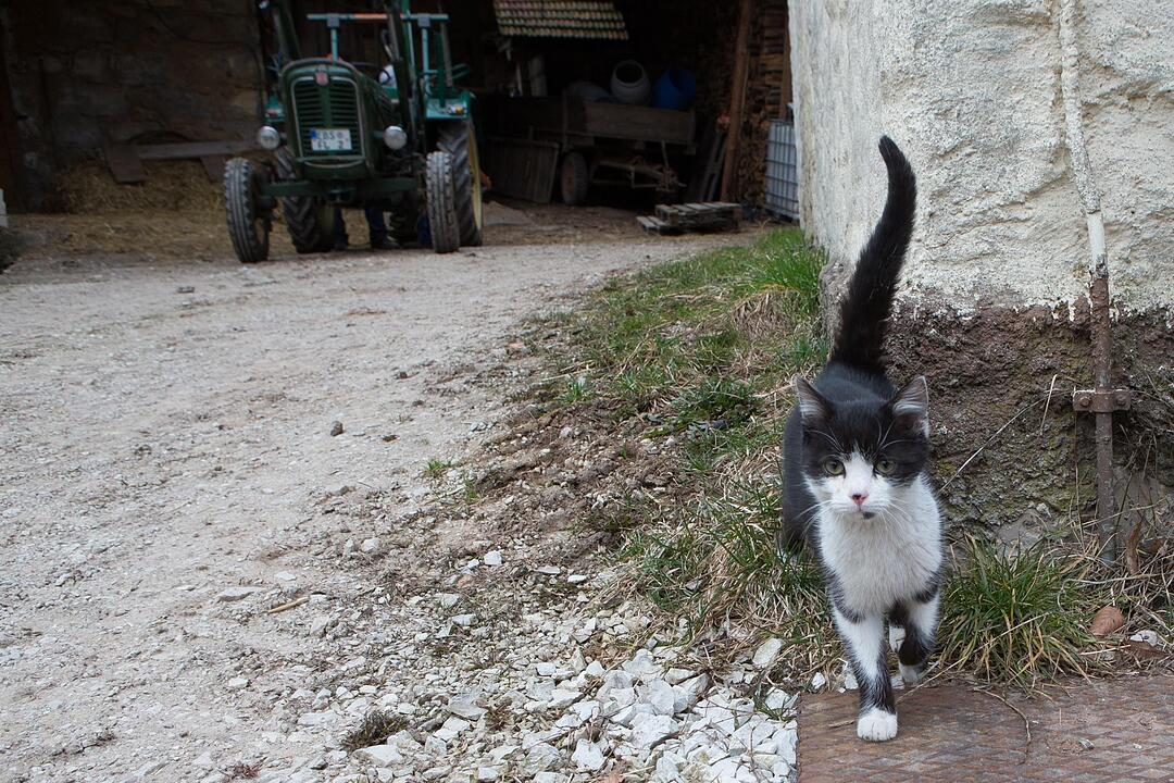 SoS; Neuses-Poxstall; Gemeindeseite; Foto: Barbara Herbst