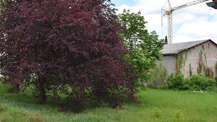 So sieht  ein Teil der für Häuslebauer zur Verfügung stehenden drei Flächen - im Bild die Fläche in der Steinlachenstraße -  in Hallstadt aus. Wer erhält den Zuschlag? Foto: Ronald Rinklef