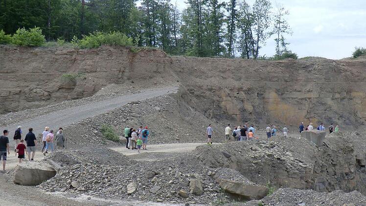 In den steilen Wänden des Steinbruchs soll mittlerweile wieder der Steinkauz nisten.