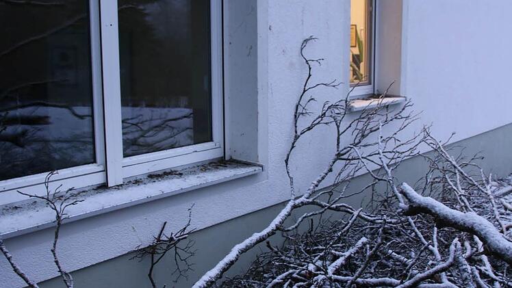Umgestürzte Buche am Heiligenhof in Bad Kissingen. Foto: Paul Ziegler
