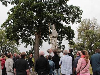 Vor der Entscheidung über die Ersatzbepflanzung schaute sich der Burgebracher Marktrat vor Ort auf der Nikolaibrücke die maroden Ahorne an.  Foto: Elke Pieger