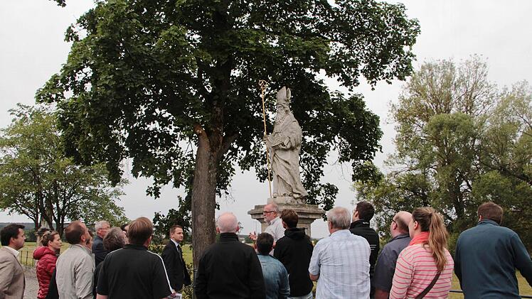 Vor der Entscheidung über die Ersatzbepflanzung schaute sich der Burgebracher Marktrat vor Ort auf der Nikolaibrücke die maroden Ahorne an.  Foto: Elke Pieger
