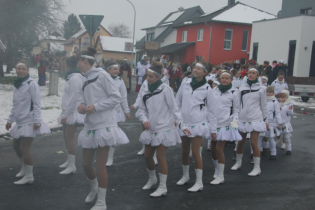 Faschingsumzug in Oberhaid