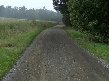 Der Weg von Lilling nach Dorfhaus ist im Bereich der Gemeinde Weißenohe der einzige, den diese als geeignet für die Aufnahme in Kernwegentz einschätzt. Foto: Petra Malbrich