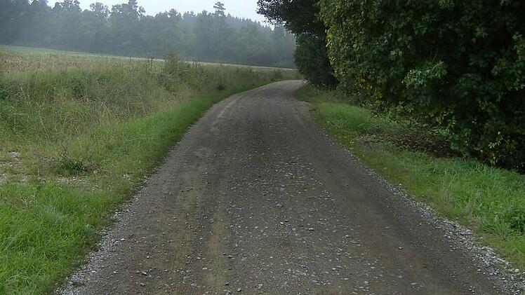 Der Weg von Lilling nach Dorfhaus ist im Bereich der Gemeinde Weißenohe der einzige, den diese als geeignet für die Aufnahme in Kernwegentz einschätzt. Foto: Petra Malbrich