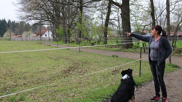Petra Juergens und Hund Sam zeigen es: Hier, entlang einer Koppel der "High Willow Ranch" in Oberlaitsch, streunte der Wolf. Foto: Jochen Nützel