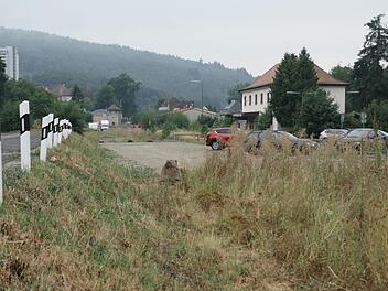 Das noch größtenteils brachliegende Gelände soll zum zentralen Anhalte- und Überleitungspunkt in die Kernstadt für Radfahrer und andere Besucher Bad Brückenaus werden. Aber auch seine bisherigen Funktionen sollen erhalten bleiben. Foto: Steffen Standke