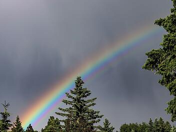 Wetter in Franken: Dienstag wird ungem&uuml;tlich - Wochenende entsch&auml;digt