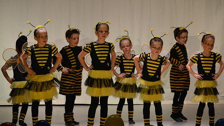 Flotte Bienchen beim Büttenabend in Großenbrach. Foto: Björn Hein