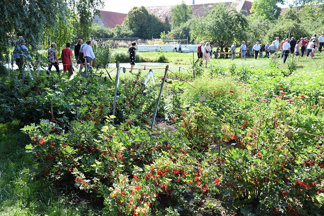 Unser Dorf hat Zukunft